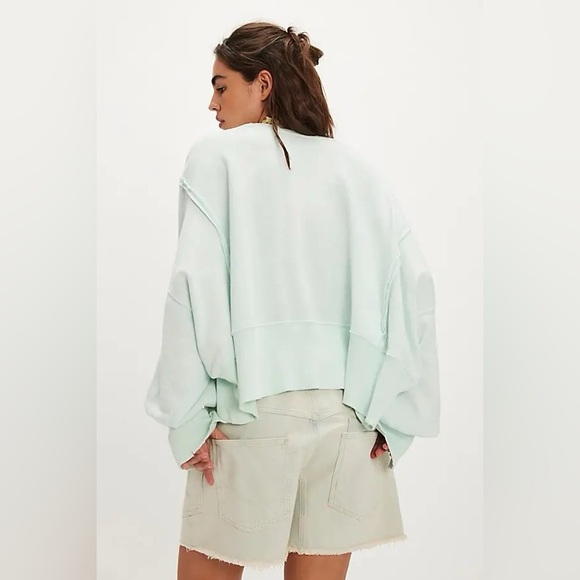 NWT Free People We The Free Camden Cropped Sweatshirt - Mint Julep - Picture 4 of 9